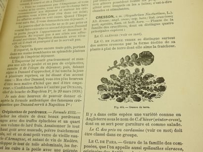 null FAVRE Joseph. Dictionnaire de cuisine et d'hygiène alimentaire. T. 2 et 3 en...