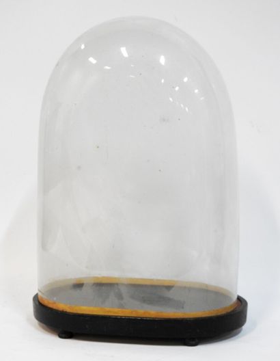 null Bridal globe in glass and blackened wood base.
Napoleon III period.
42 x 28...