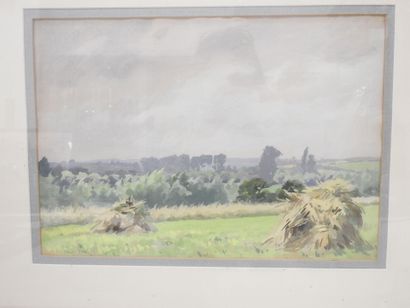 null René PEAN (1875-1955) : Sarthe landscapes. Gouache and watercolor on paper....