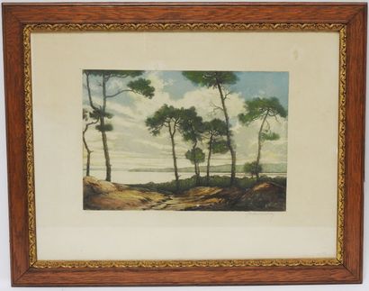 null JACQUELOT du BOISVOUVRAY (de) - 20th century
Seascape with pine trees.
Aquatint....