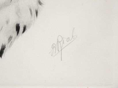 null Boris RIABOUCHINSKY called Boris RIAB (1898-1975) after
Setter and pheasant.
Print...