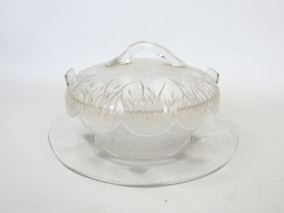 null Glass JUG and saucer with engraved reed decoration on the body and poly-lobed...
