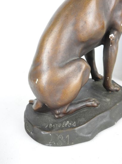 null BORELLES, after : Seated hunting dog. Subject in patinated plaster. Signed on...