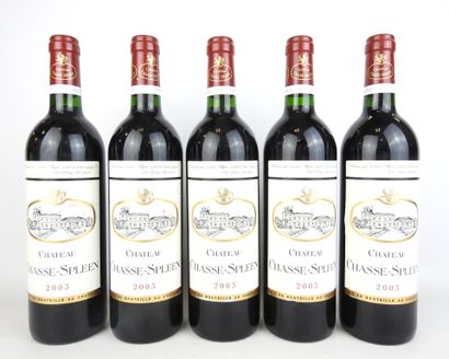 5 bouteilles Château Chasse-Spleen 2003