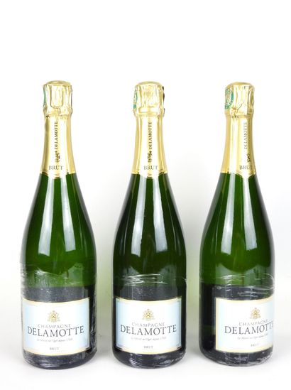 3 bouteilles Champagne Brut blanc Delamo...