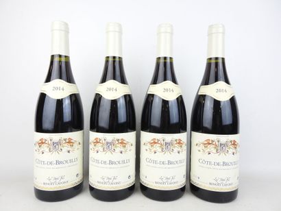 4 bouteilles Côte-de-Brouilly 2014 Les petits...