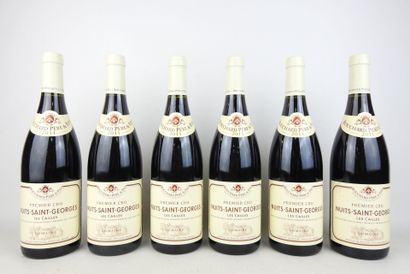 6 bouteilles Nuits-Saint-Georges 2011 Bouchard...