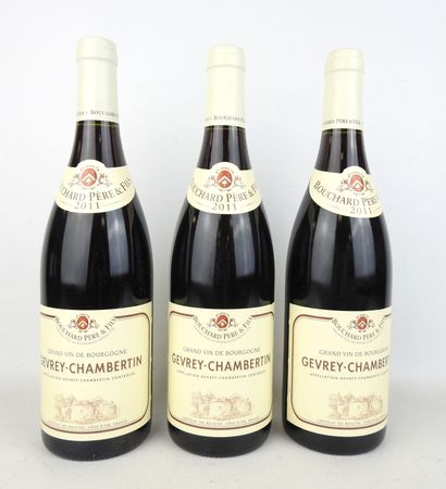 3 bouteilles Gevrey-Chambertin 2011 Bouchard...