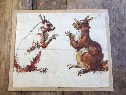 null Ecole du XIXème siècle: Etude d'écureuils. Aquarelle. 18x22cm
