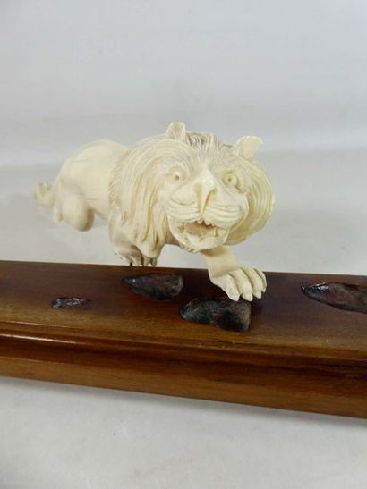 null CHINE - Début XXe siècle

Okimono en ivoire représentant un lion rugissant....