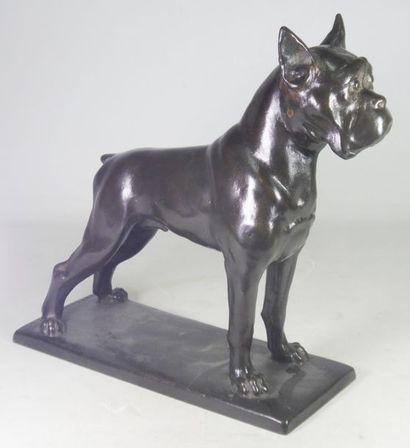null Prof VIERTHALER (1875-1957)

Grand chien boxer à l'arrêt.

Sujet en bronze à...