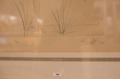 DALI Salvador (1904-1989) "Nymphes", XXe, eau-forte polychrome à rehauts dorés, signée...
