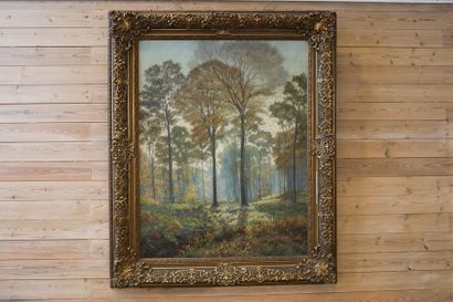 STEVENS René (1858-1937) "Forêt de Soignes", début XXe, huile sur toile monumentale,...