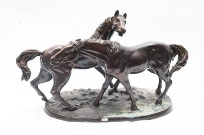 ECOLE FRANCAISE "Couple de chevaux", XXe, grand groupe en bronze à patine nuancée,...