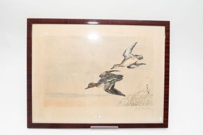 DANCHIN Léon (1887-1938) "Vol de canards", XXe, lithographie polychrome, signée en...