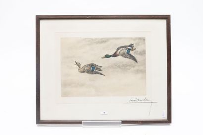 DANCHIN Léon (1887-1938) "Couple de canards en vol", XXe, lithographie polychrome,...