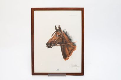 DANCHIN Léon (1887-1938) "Tête de cheval", XXe, lithographie polychrome, signée en...