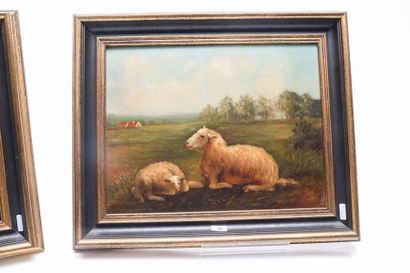 ARENS C. "Brebis et agneaux", fin XIXe, paire d'huiles sur panneau en pendants, signées...
