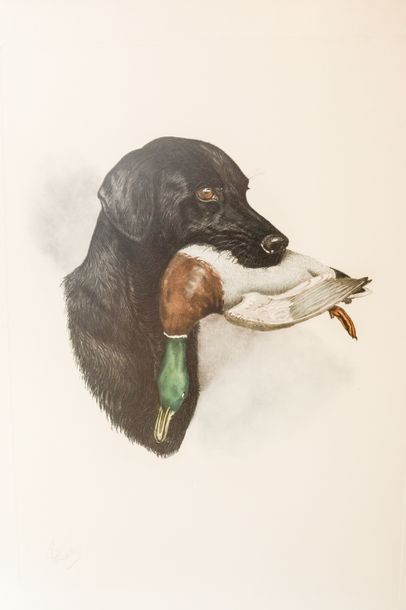 RIAB, RIABOUCHINE Boris dit (1898-1975) "Labrador au canard", XXe, lithographie polychrome,...