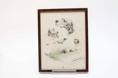 DANCHIN Léon (1887-1938) "Esquisse de setters", XXe, lithographie polychrome, signée...