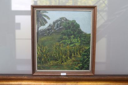 CANNEEL Marcel (1894-1953) "Paysage arboré", [19]50, huile sur toile, signée et datée...