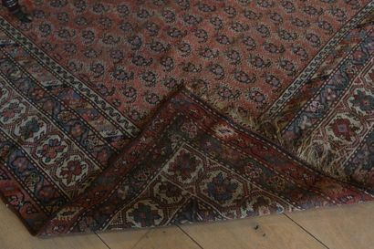 null Grand tapis persan ancien de style Afshar à semis de botehs sur champ brique,...