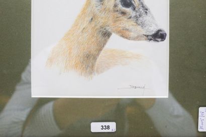 LOGNARD J. "Têtes de brocard et de chien", fin XXe, deux impressions, 16,5x12,5 cm...