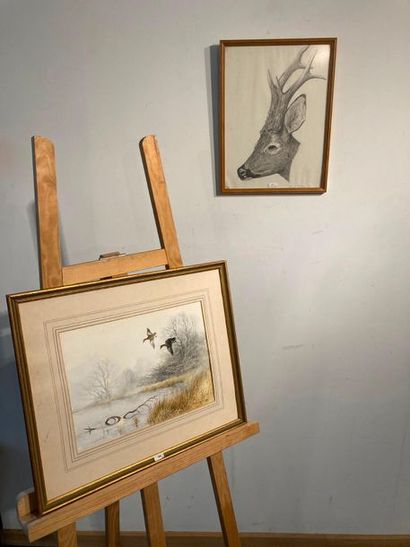 HILL Berrisford "Vol de sarcelles", XXe, aquarelle sur papier, signée en bas à droite,...