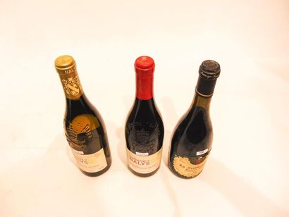 VALLÉE-DU-RHÔNE Rouge et blanc, deux bouteilles :

- (CHÂTEAUNEUF-DU-PAPE), rouge,...
