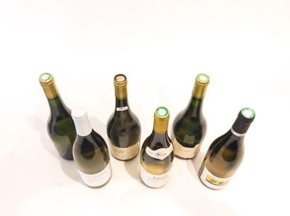 VALLÉE-DE-LA-LOIRE Blanc, six bouteilles :

- (TOURAINE), M de Marionnet 1995 (deux)...