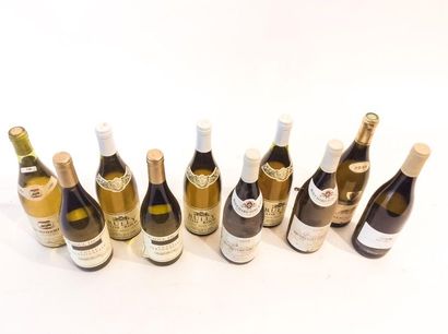 BOURGOGNE Blanc, huit bouteilles :

- (PULIGNY-MONTRACHET), Les Perrières - Carillon...