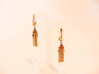 null Pair of 18 karat yellow gold pendant earrings, 6 g approx.