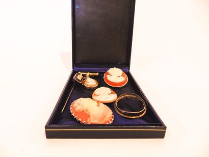 null Lot of costume jewellery with cameo, five pieces [accident and missing].