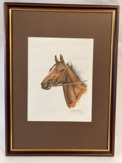 DANCHIN Léon (1887-1938) "Horse's head", 20th century, polychrome lithograph, 39x30...