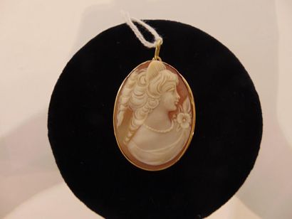 null Oval pendant in 18 karat yellow gold with cameo (female profile), h. 4.5 cm,...