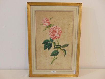 ECOLE FRANCAISE "Branch of roses", 1804, gouache on paper, signature and date at...