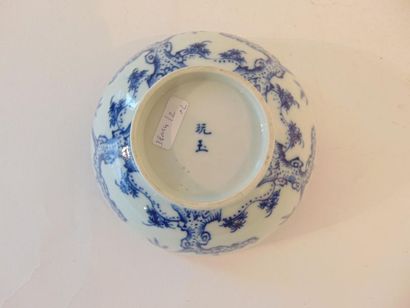 CHINE Bowl with blue and white decoration called Hue Blue, Qing Dynasty / 19th century,...