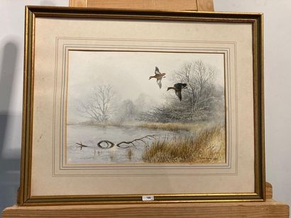 HILL Berrisford "Flight of Teals", XXth, watercolour on paper, signed lower right,...