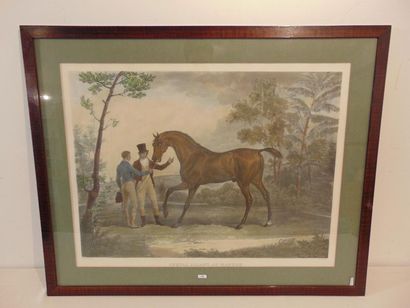 VERNET Carle (1758-1836) [d'après] "Horse going to the merry-go-round," raised lithograph,...