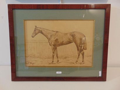 CLARYS Alexandre (1857-1920) "Horses of Race", early 20th century, pair of brown...