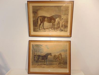 null Two polychrome lithographs framed in pendants, 64.5x82.5 cm (frames) :

- HERRING...