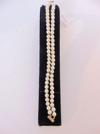 null Bracelet with double row of pearls, gold clasp, l. 19 cm.