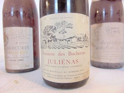 BOURGOGNE Red, eight bottles:

- (HAUTES-CÔTES-DE-BEAUNE), Les Caves des Hautes-Côtes...