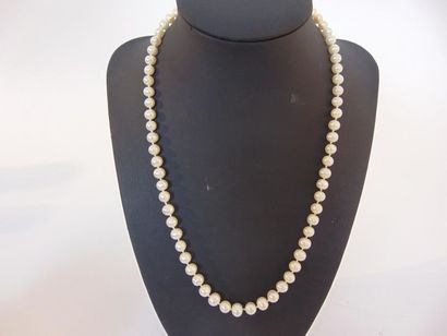 null Half set (falling necklace and pair of ear buttons) of pearls, gold clasp, punch,...
