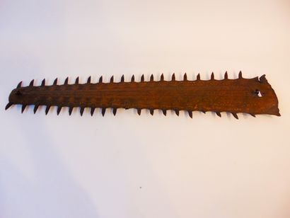 null Sawfish rosette, l. 94 cm.