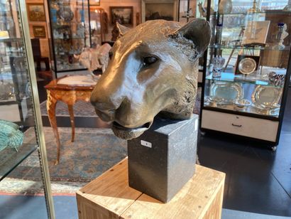 T' SERSTEVENS Hervé "Lioness Head," 2019, patinated bronze print on stone base, signed...