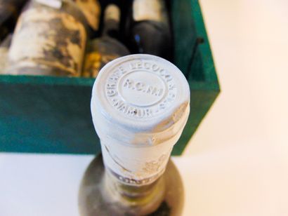 BORDEAUX Blanc, Sauvignon d'Aquitaine (Grafé-Lecocq) 1996, dix bouteilles [bas-goulot,...