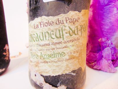 VALLÉE-DU-RHÔNE (CHÂTEAUNEUF-DU-PAPE) Rouge, La Fiole du Pape s.m., douze bouteilles...