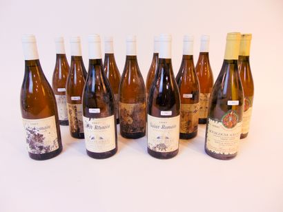 BOURGOGNE Blanc, douze bouteilles :

- (SAINT-ROMAIN), Alain Gras 1997, dix bouteilles...