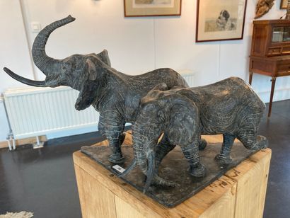 T' SERSTEVENS Hervé "Couple d'éléphants", 2019, épreuve en bronze à patine nuancée,...